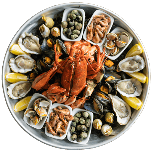 Flat-lay Delicious - Image 2